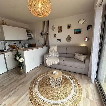 Апартаменты Studio Cabine Terrasse/wifi/parking