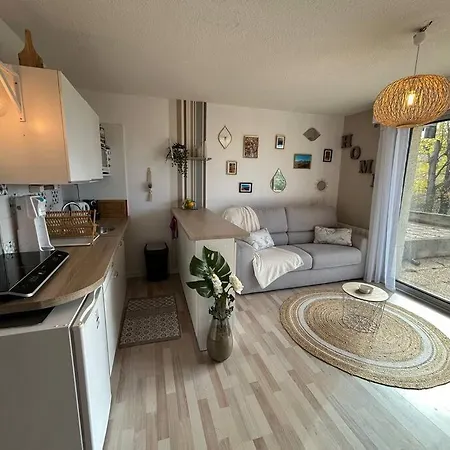 Studio Cabine Terrasse/wifi/parking Апартаменты Фон-Ромё