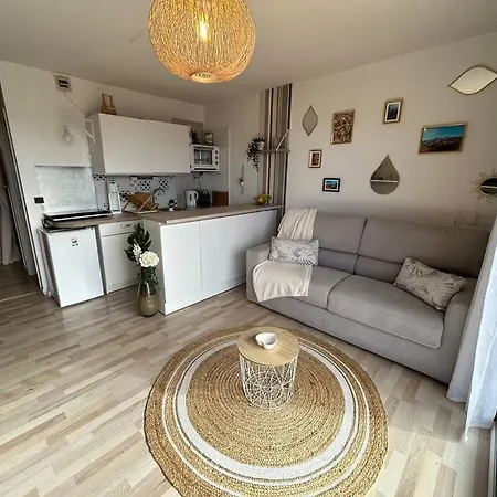 Studio Cabine Terrasse/wifi/parking Апартаменты *